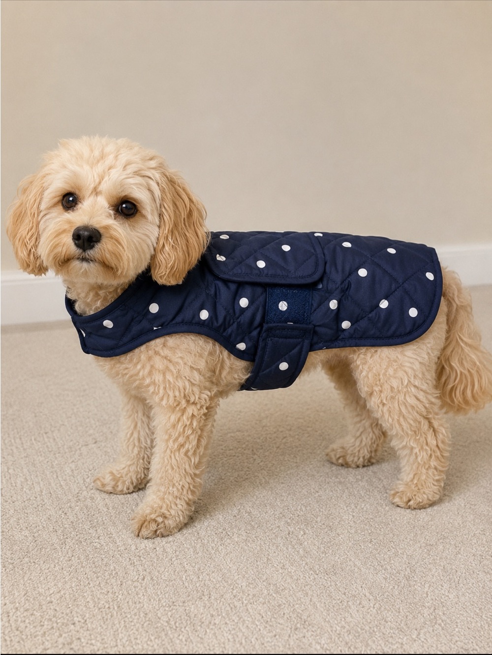 St Johns Bark Pet Apparel Dog Jacket Quilted Vest Navy Blue Polka Dot NWT